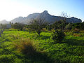 Miniatura per Serra de Segària