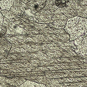 Derselbe Dünnschliff wie oben, jedoch um 45 Grad im Uhrzeigersinn rotiert, woraus eine Änderung des Chagrins resultiert. Dies ist ein Beispiel für die Richtungsabhängigkeit des Chagrins. Bildbreite 330 Mikrometer.