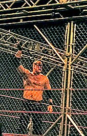 A bloodied Kane in a steel cage match against Edge Steel Cage.jpg