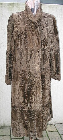 Karakul Coat