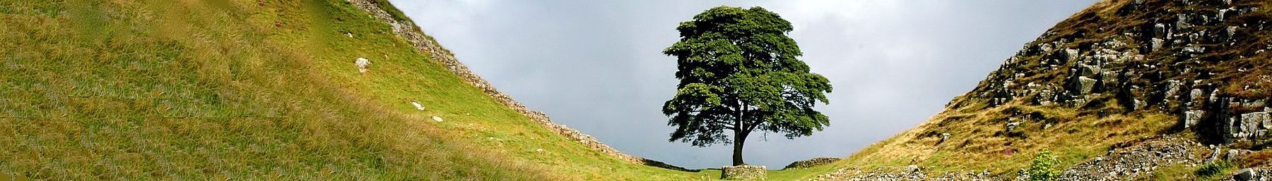 Sycamore Gap on the route of Hadrian's Wall which historically divided England and Scotland.