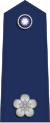 Taiwan-airforce-OF-3.svg