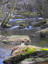 Das Waldnaabtal zwischen Falkenberg und Windischeschenbach