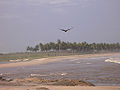 Strand bei Winneba, Juli 2008