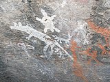 Петроглифы аборигенов в национальном парке Намаджи, Австралийская столичная территория.