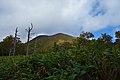 2021年10月11日 (月) 11:37時点における版のサムネイル