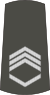 06-Serbian Army-SSFC.svg