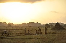 Jua linachomoza nyuma ya wanajeshi wa Uganda walio katika Misheni ya Umoja wa Afrika nchini Somalia karibu na Qoryooley mnamo Machi 23, siku moja baada ya mji huo kutekwa kutoka kwa wanamgambo wa al Shabab katika operesheni ya pamoja iliyoendeshwa na Jeshi la Kitaifa la Somalia na AMISOM.