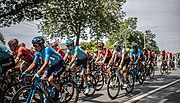 Vignette pour 1re étape du Tour de France 2019