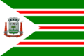 Bandeira de Pitangueiras