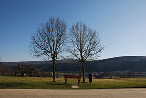 Hinteres Leimental, im Hintergrund Witterswil