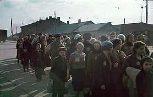 Jews in the Minsk Ghetto, 1941
