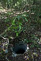 Chultun, ancient Maya underground storage chamber (3266729554).jpg