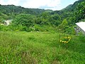 Penstock Path after the Planting Programs