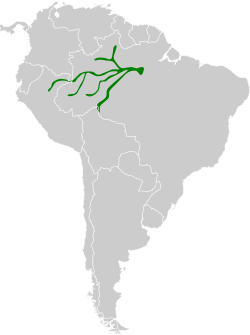 Distribución geográfica del trepatroncos de Zimmer.