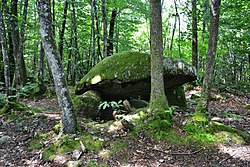 Image illustrative de l’article Dolmen du Bois de la Lieue