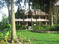 Ekološka hiša v bližini vasi Bukit Lawang (hotel)