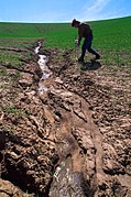 Jaka erozija tla oblikovala je vovoderinu u polju pšenice u blizini Washington State University, SAD.