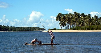 Pêcheurs dans un cours d’eau près de Tamandaré, dans l’État du Pernambouc au Brésil. (définition réelle 1 277 × 677*)