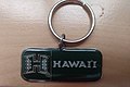 Hawaii Rainbow Warriors keychain