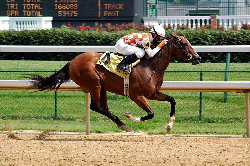 File:Horseracing Churchill Downs.jpg