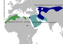 Мапа поширення роду