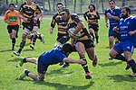 Miniatura para Club Deportivo Aparejadores Rugby Burgos