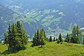 Am Liechtensteinkopf (Blick auf Großarl)