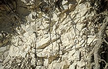 This limestone deposit in the karst of Dinaric Alps near Sinj, Croatia, was formed in the Eocene. Limestone Eocene deposit at Sinj Stari grad - Dalmatia - Croatia IMG 20210820 083857.jpg