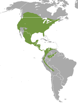 Distribución geográfica