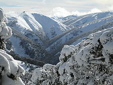 Mount Hotham ski resort, Victoria MarysSlide.jpg