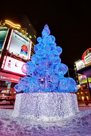 Christmas tree at Yonge-Dundas Square, Toronto...