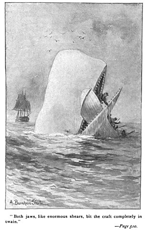 Illustration from an early edition of Moby-Dick