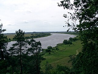 The river Nemunas from Rambynas hill