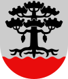 Coat of arms of Petäjävesi