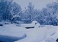 La nevicata del 15 aprile 1995