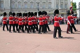 Image illustrative de l’article Grenadier Guards