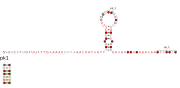 RAGATH-27 Secondary structure taken from the Rfam database. Family RF03100