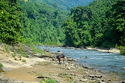 রেমাক্রী খাল