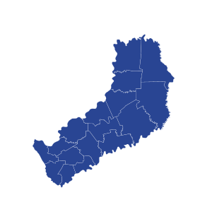 Elecciones provinciales de Misiones de 2019