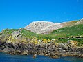 Ile Rouzic et colonie de fou de Bassan