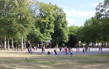 Basketteurs et footballeurs en mélange.