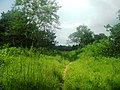 San Juan Hau, Yucatán.