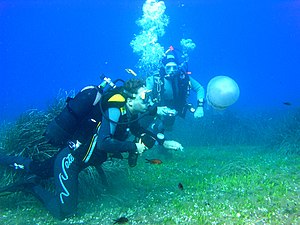 Scuba diving in Elba island, Italy