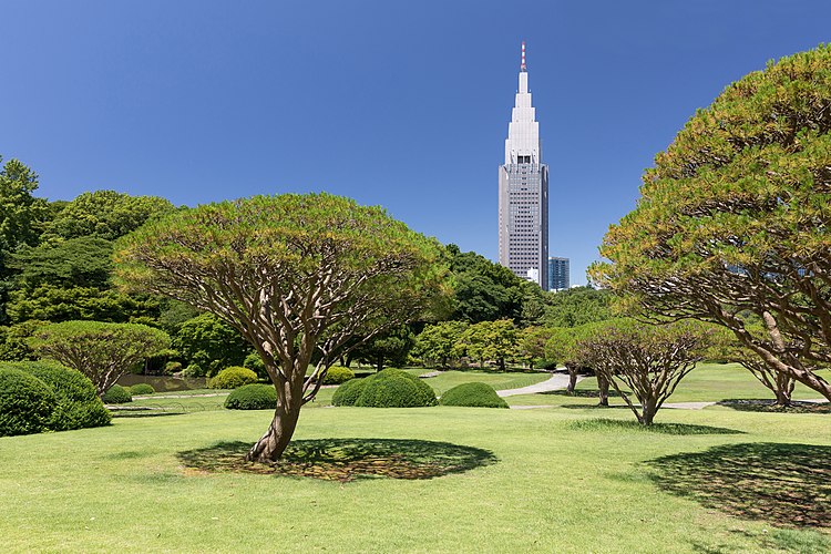 Вид на NTT Docomo Yoyogi Building из токийского парка Синдзюку-гёэн