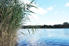 Blick vom Ufer auf den See