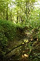 Traveinsbeek in de Steenbergse bossen