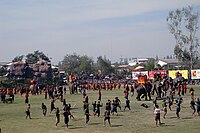 Surin Elephant Show 2009 DSC06256c.jpg
