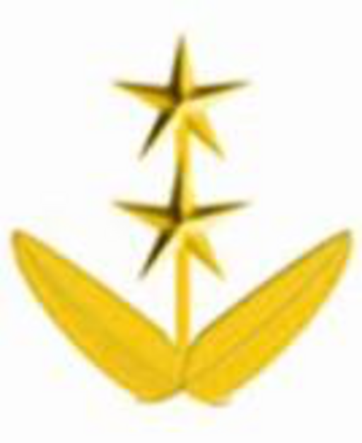 Teniente Coronel (Venezuela).png