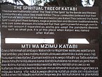 Spiritual Tree of Katabi
